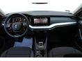 SKODA OCTAVIA 2024/8 - 8