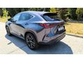 LEXUS NX 2021/12 - 3