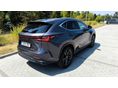 LEXUS NX 2021/12 - 5