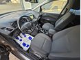 FORD C-MAX 2019/3 - 17