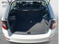 SKODA FABIA 2021/4 - 11