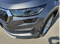 SKODA KODIAQ 2023/8 - 9