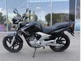 YAMAHA YBR 250 2008/9 - 5