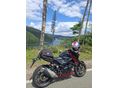 SUZUKI GSX-S 750 2018/9 - 3