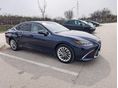LEXUS ES 2020/8 - 5