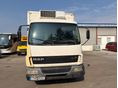 DAF 2006 - 7