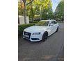 AUDI A4 Avant 2.0 TDI DPF 3xS-line