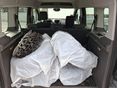 FORD CONNECT 2022/5 - 11