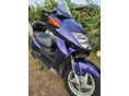 HONDA FORESIGHT 250 