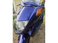 HONDA FORESIGHT 250 1999 - 2