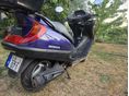 HONDA FORESIGHT 250 1999 - 6