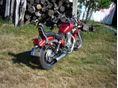 SUZUKI LS 400 SAVAGE 1987 - 2