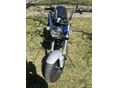HONDA ST 50 DAX 2025 - 2