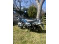 HONDA ST 50 DAX 2025 - 3