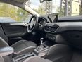 FORD FOCUS 2021/2 - 8