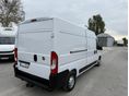 FIAT DUCATO 2020/5 - 5