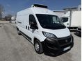 FIAT DUCATO 2020/5 - 4