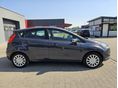 FORD FIESTA 2013/5 - 4
