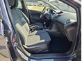 FORD FIESTA 2013/5 - 12