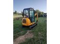 JCB 2010/1 - 3