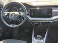 SKODA OCTAVIA 2023/6 - 6