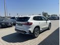 BMW X1 2023/5 - 3