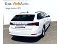SKODA OCTAVIA 2023/5 - 4