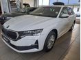 SKODA OCTAVIA 2026/8 - 6