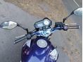 HONDA CB 600 2007/3 - 7