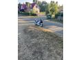 HONDA CBR 600 F4 2000/6 - 4