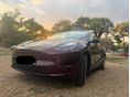 TESLA MODEL Y Long Range AWD (Automata)