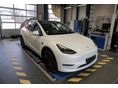 TESLA MODEL Y Performance AWD (Automata)