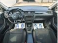 SKODA RAPID 2014/3 - 10