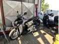 YAMAHA XENTER 2016/4 - 5