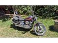 YAMAHA XVS 400 1999 - 2