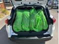 RENAULT CLIO 2014/8 - 18