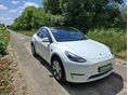 TESLA MODEL Y 2022 - 2