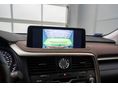 LEXUS RX 2022/9 - 7