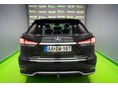 LEXUS RX 2022/9 - 5