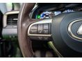 LEXUS RX 2022/9 - 12