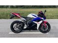 HONDA CBR 600 RR 2010 - 2