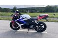 HONDA CBR 600 RR 2010 - 6