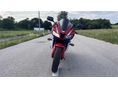 HONDA CBR 600 RR 2010 - 8