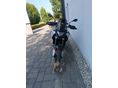 BMW F 900 GS 2024/9 - 5