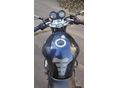 SUZUKI GSF 650 2008/10 - 3