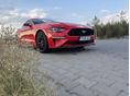 FORD MUSTANG 2019 - 2