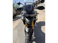 TRIUMPH TIGER 900 2020/5 - 5