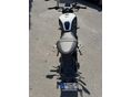 TRIUMPH TRIDENT 2021/7 - 8