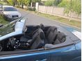 FORD FOCUS 2007/5 - 11