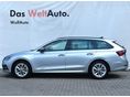 SKODA OCTAVIA 2023/4 - 6